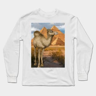 Camel at Giza Pyramids Long Sleeve T-Shirt